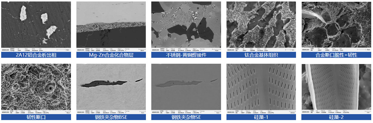 国仪量子钨灯丝扫描电子显微镜SEM3200(图20)
